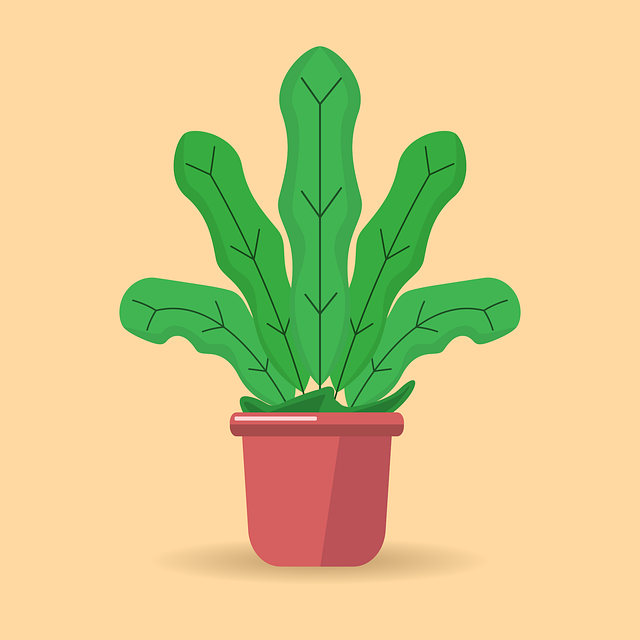 Free plant pot leaves vector
