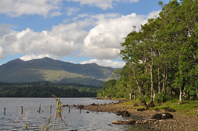 Free Mountains Trees photo and picture