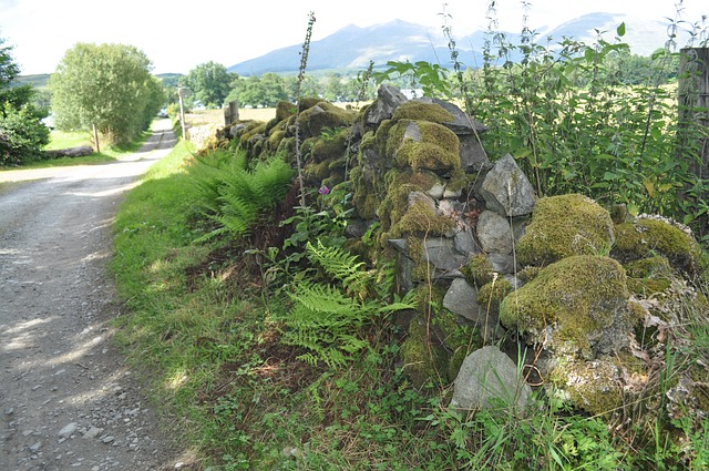 Free Scotland Rocks photo and picture