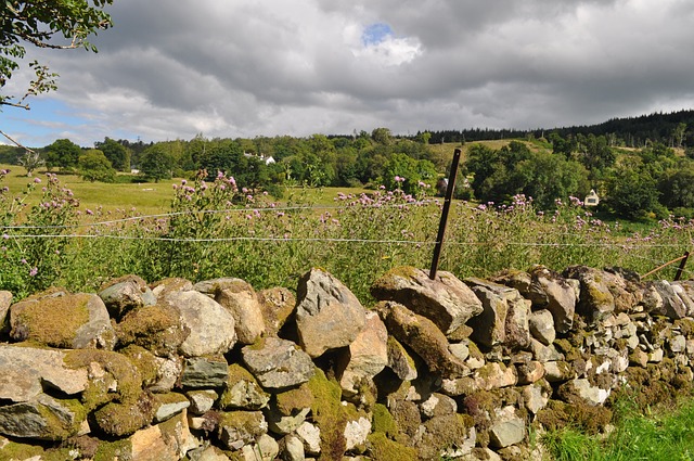 Free Scotland Rocks photo and picture