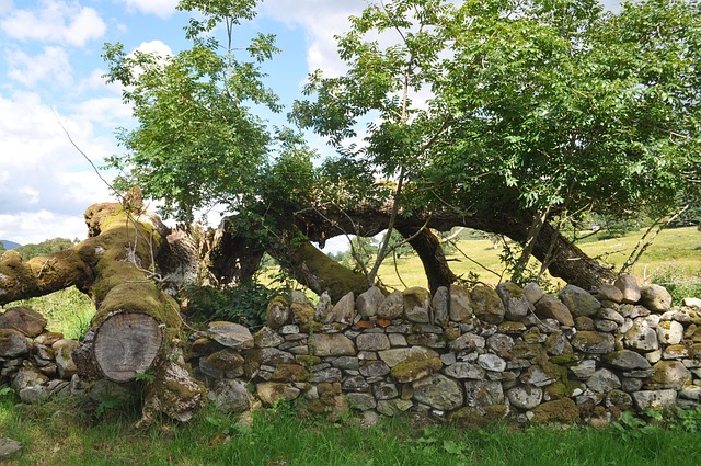 Free Scotland Rocks photo and picture