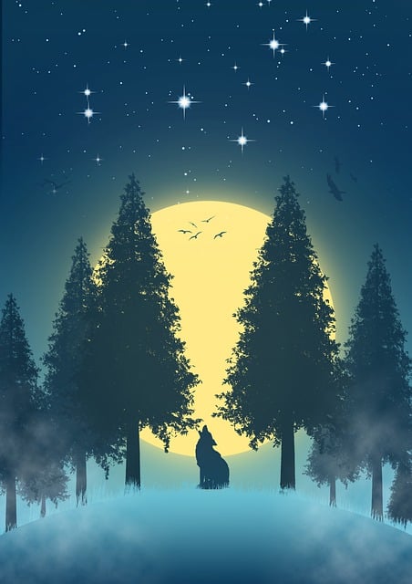 Free night wolf moon illustration