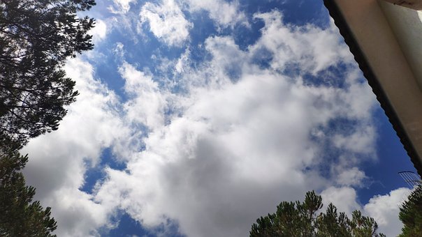 Free Nubes Árbol photo and picture