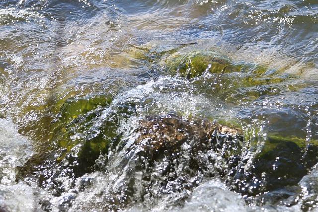 Free Lake Waves photo and picture