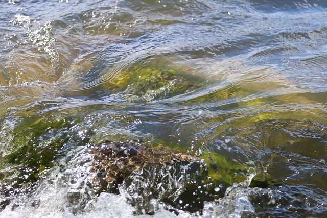 Free Lake Waves photo and picture