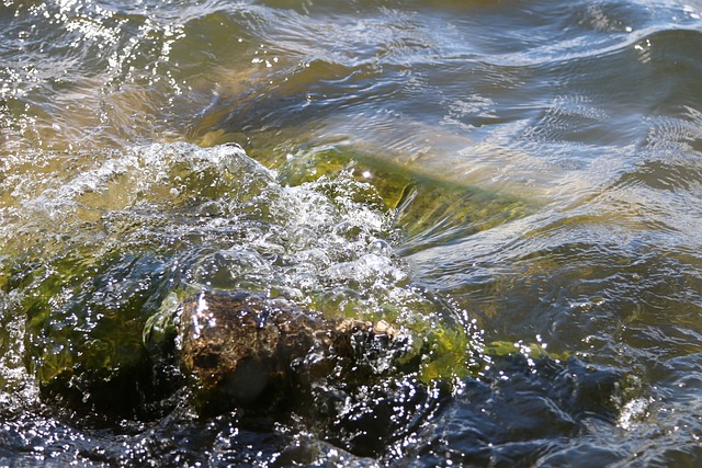 Free Lake Waves photo and picture