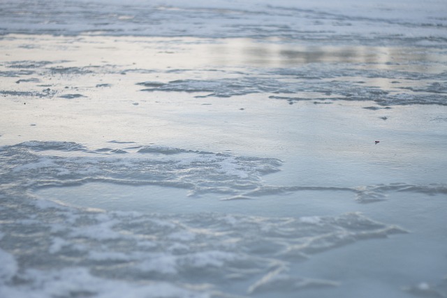 Free Lake Ice photo and picture