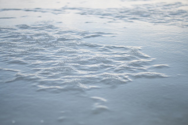 Free Lake Ice photo and picture