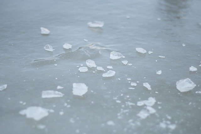 Free Lake Ice photo and picture