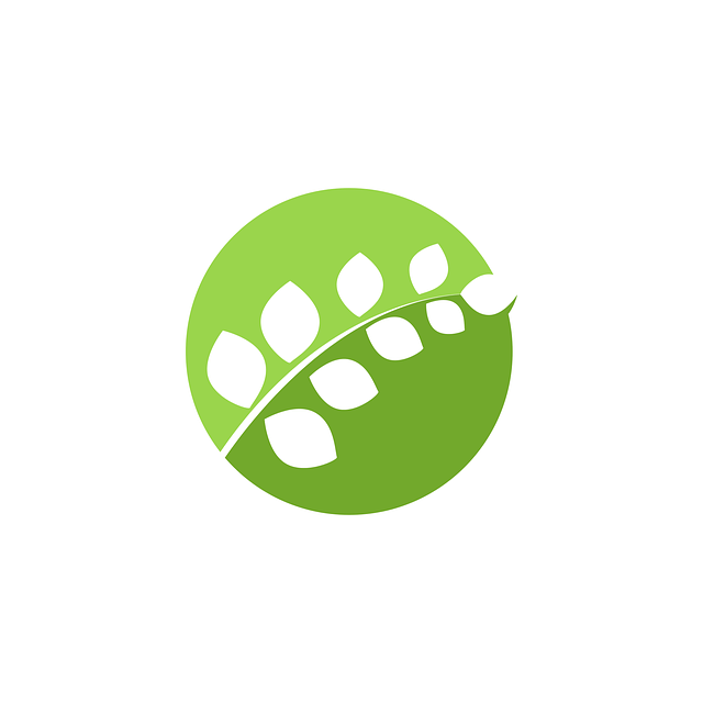 生态 图标 标识 - 免费矢量图形Pixabay