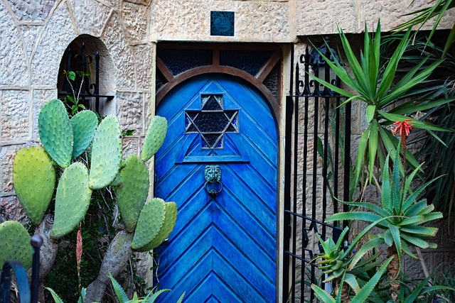 Free Door Blue photo and picture