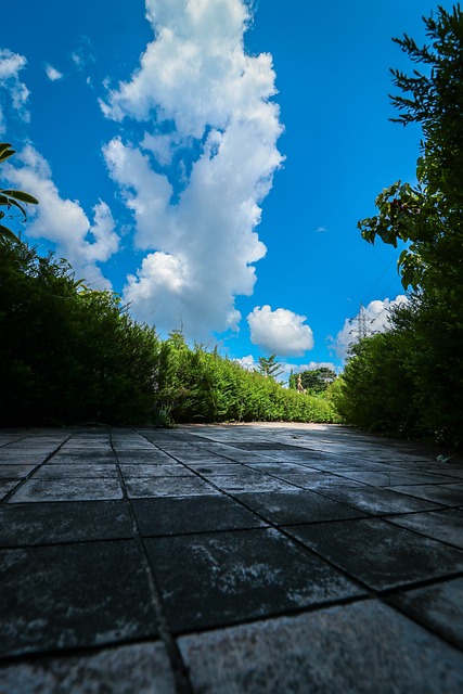 Free Nature Sky photo and picture