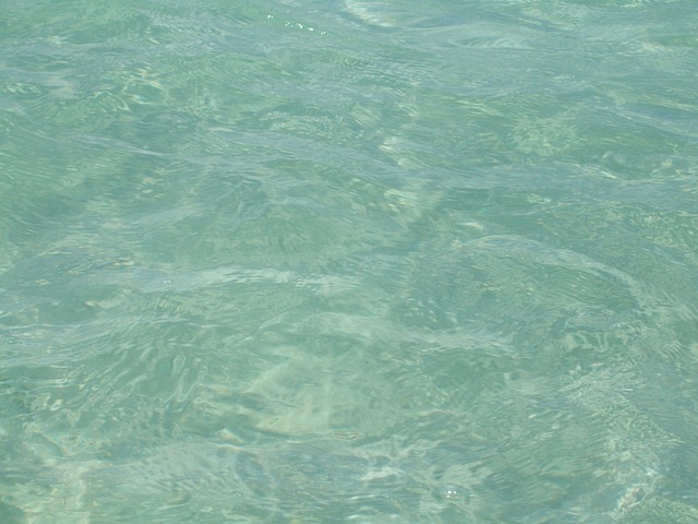 Free Water Background Sea photo and picture