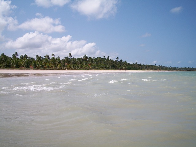 Free City Of Maragogi Brazil Brazil photo and picture