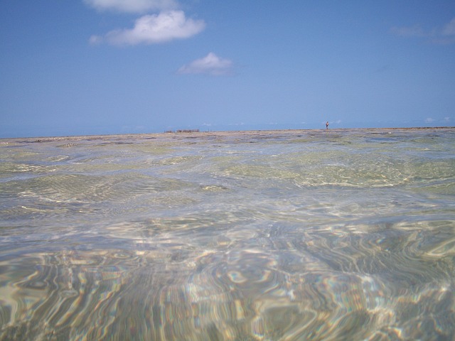 Free Sea Ocean photo and picture