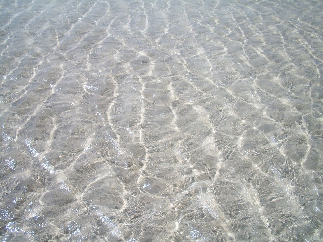 Free Sea Ocean photo and picture