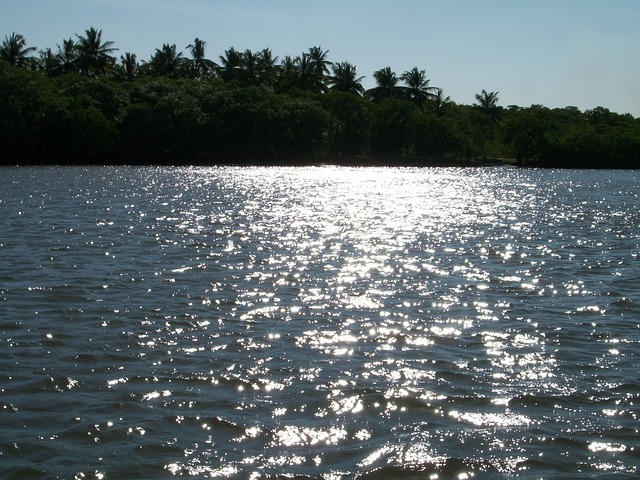 Free State Of Alagoas Gunga Beach Brazil photo and picture