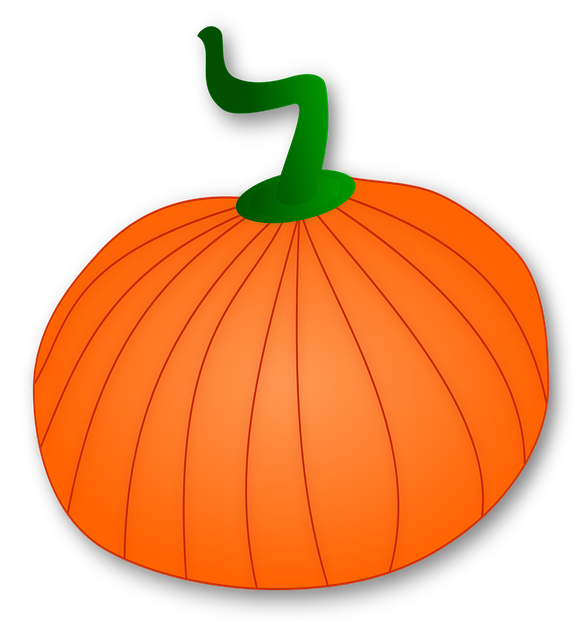 Free pumpkin squash autumn illustration