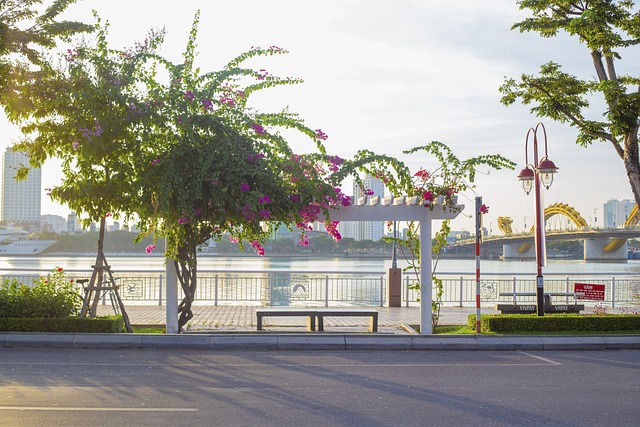 Free Street Bench photo and picture