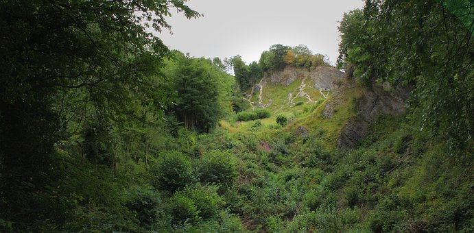 Free Wrens Nest Nature Reserve photo and picture