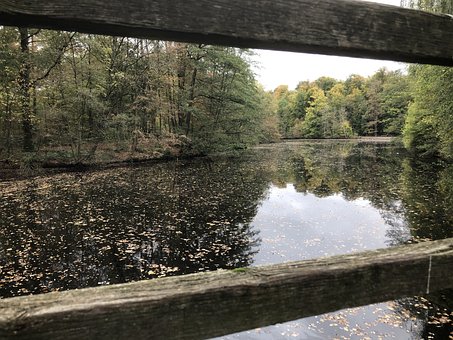 Free Bridge Fence photo and picture