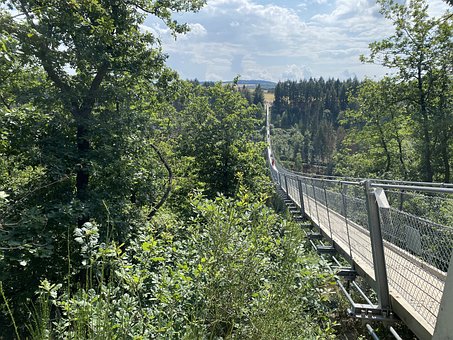 Free Bridge Nature photo and picture