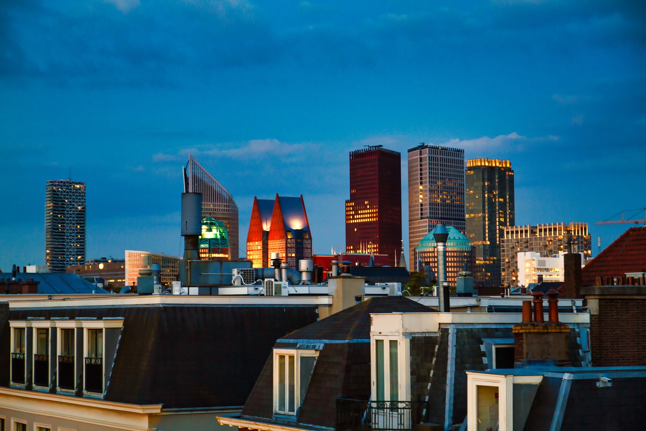 The Hague Skyline main image 0