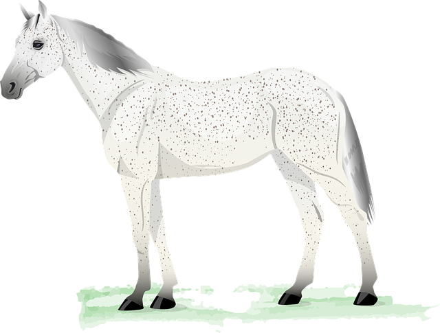 Free horse nature white horse vector