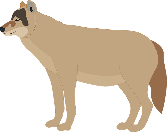 Free wolf nature animal illustration
