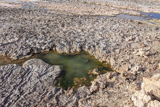 Laguna Chaxas San Pedro Atacama, Laguna