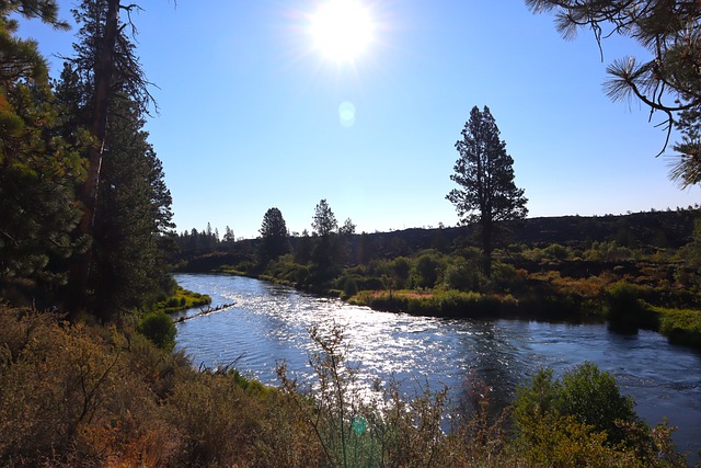 Free River Stream photo and picture