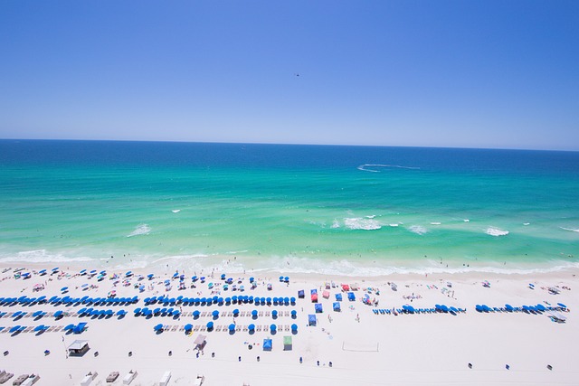 Free Beach Ocean photo and picture