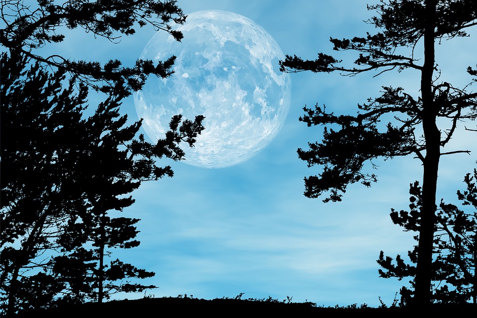 https://cdn.pixabay.com/photo/2020/08/07/02/39/full-moon-5469561_960_720.jpg
