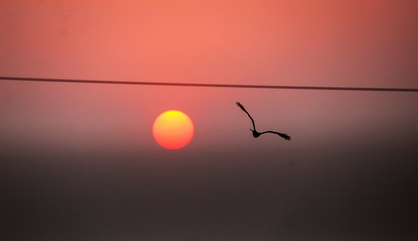 Free Sunset Sun photo and picture