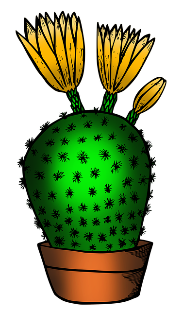 Free cactus cacti plant illustration