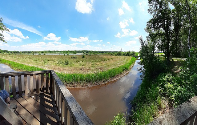 Arcen, Maasdünen, Rekultivierung