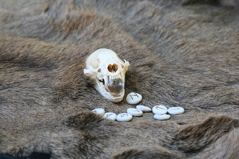 Skull, Skeleton, Medieval, Rune, Stone, Ancient, Celtic