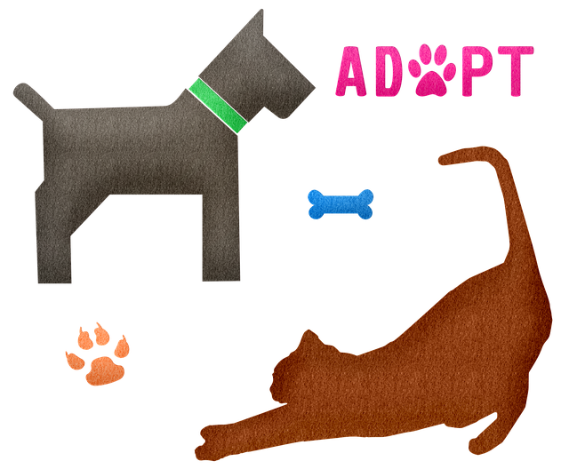Free pets cat pet illustration