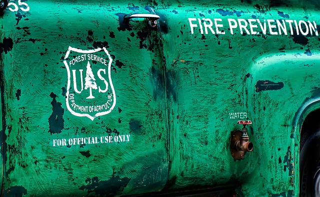 Free Truck Vehicle photo and picture