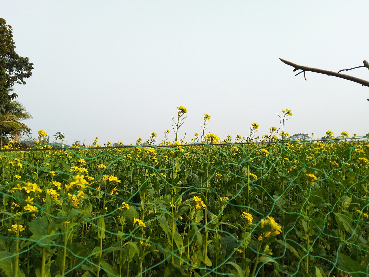 Spacious Field Field Sky Nature - Free photo on Pixabay - Pixabay