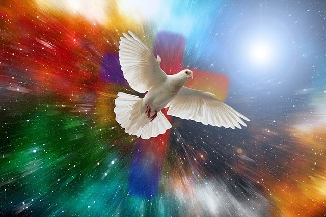 Free dove universe cross illustration