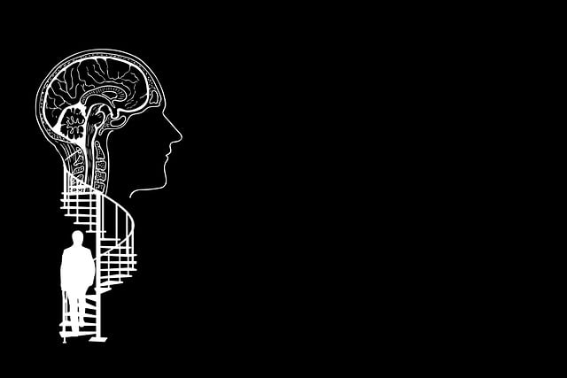 Free brain head silhouette illustration