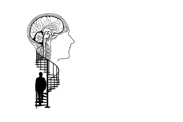 Free brain head silhouette illustration
