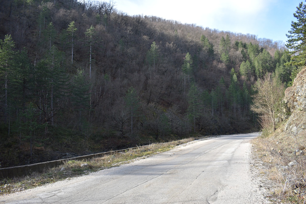 road-5472209_1280.jpg