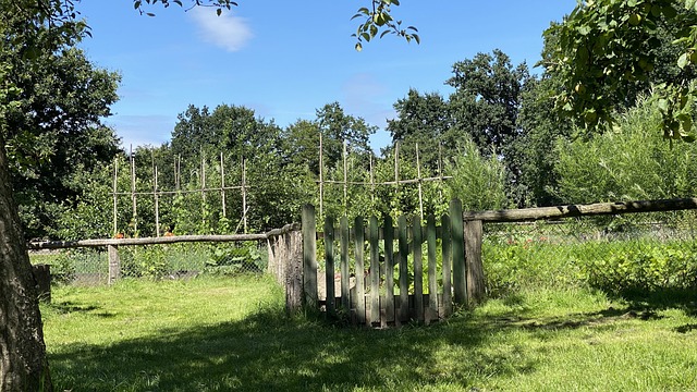 Free Cottage Garden Garden photo and picture