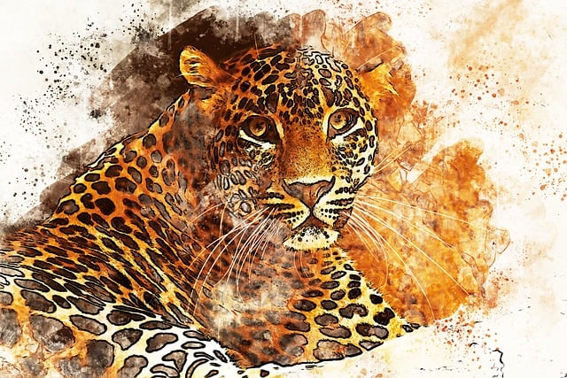 Free leopard feline animal illustration