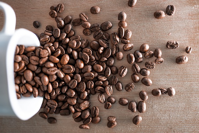 Free Bean Caffeine photo and picture