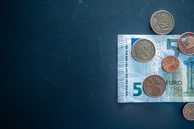 Free Euro Bank photo and picture