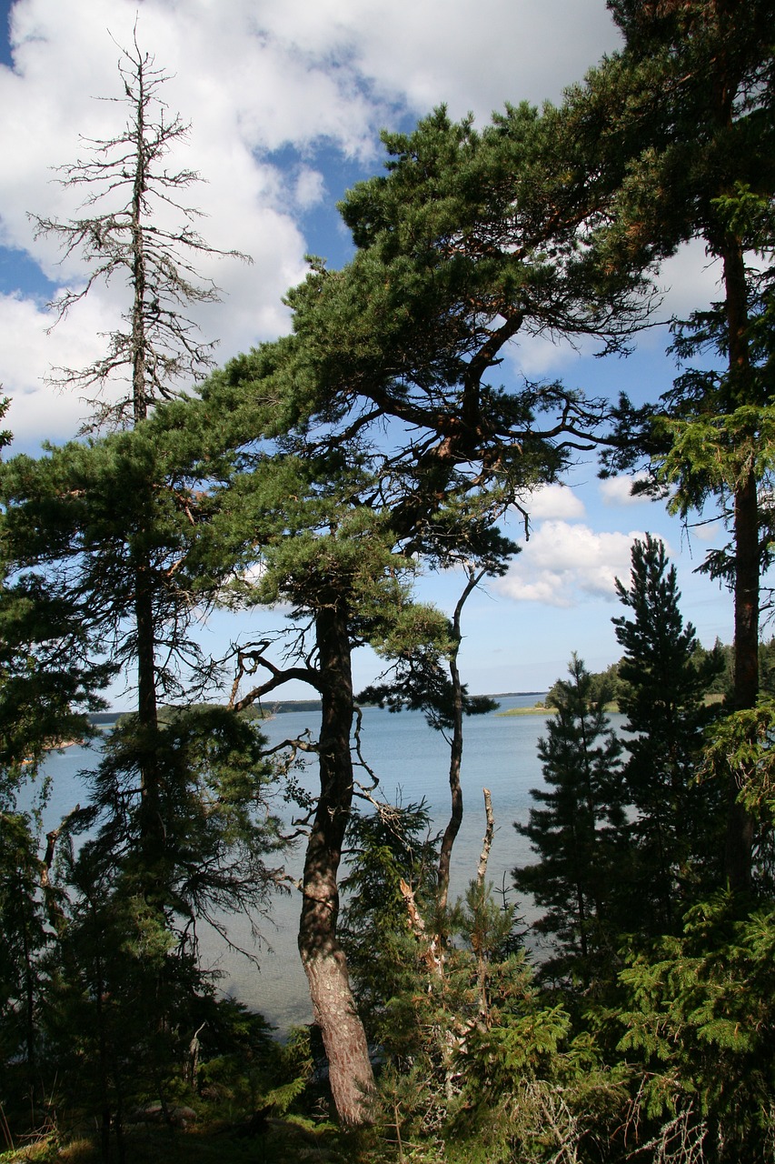 奥兰 自然 海岸 - Pixabay上的免费照片 - Pixabay