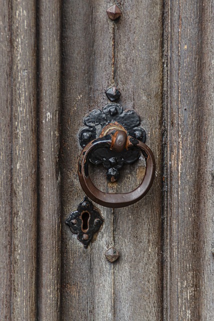Free Castle Door photo and picture